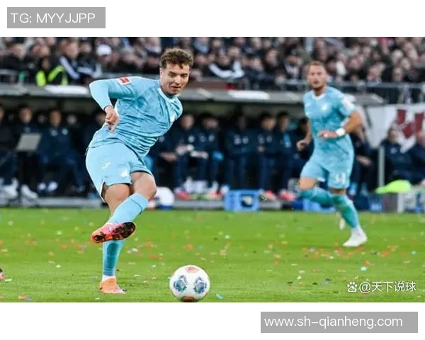 德甲：霍芬海姆体现跳动，海登海默状况为难